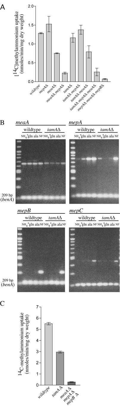 FIG.7.