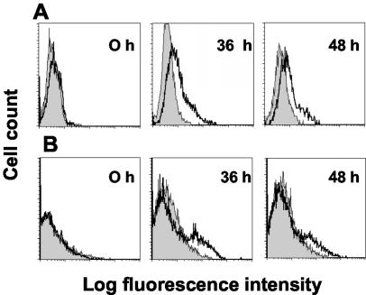 FIG. 4.