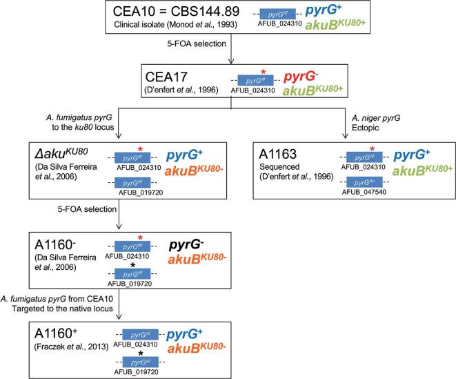 Figure 2.