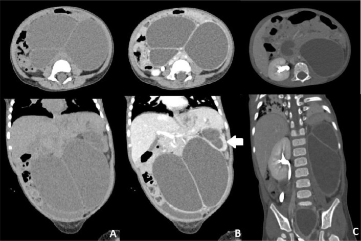 Fig 2 –