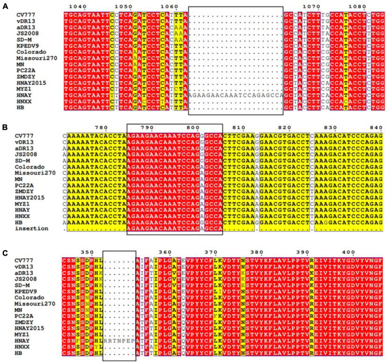 FIGURE 2