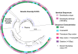 FIG 6