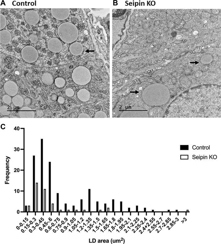 Fig. 4