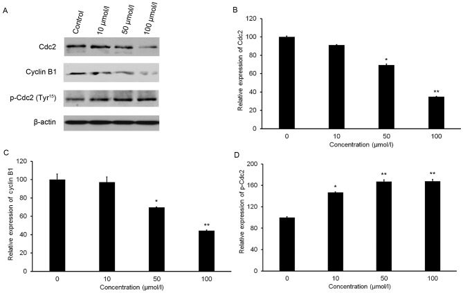 Figure 5.