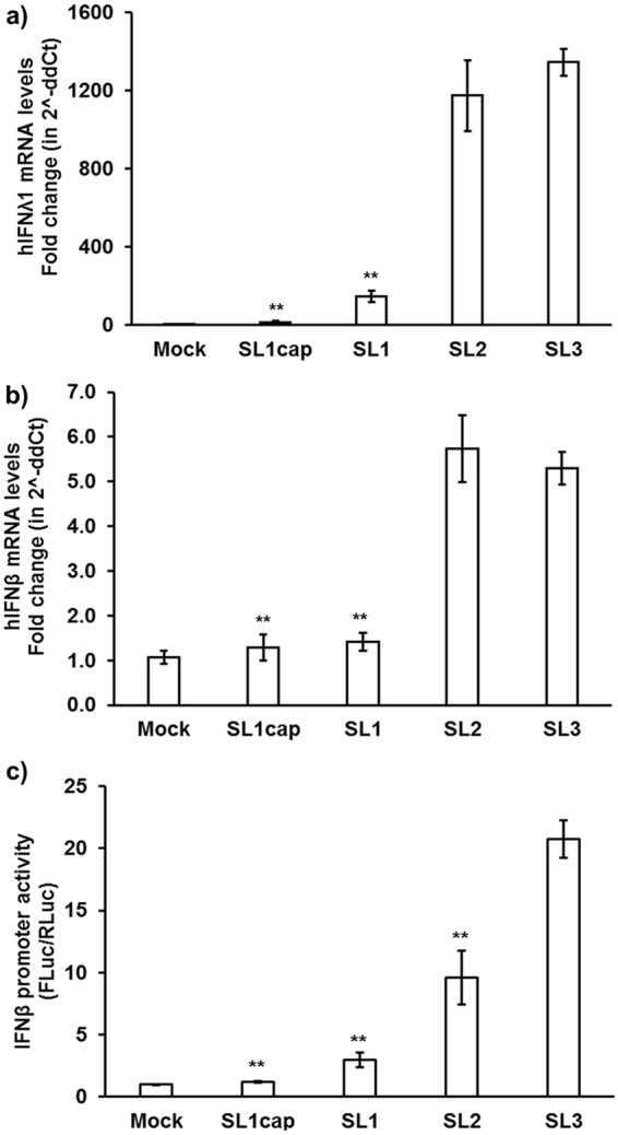 FIG 2