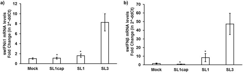 FIG 10