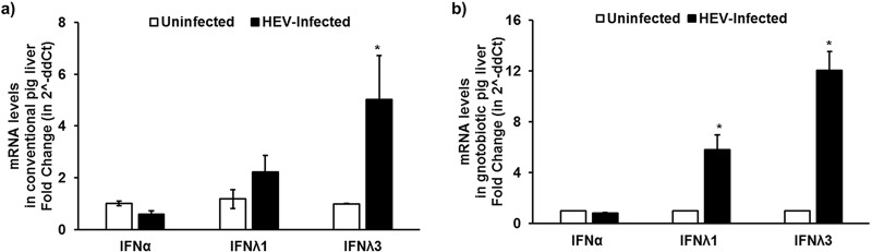 FIG 1