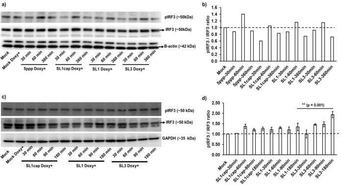 FIG 6