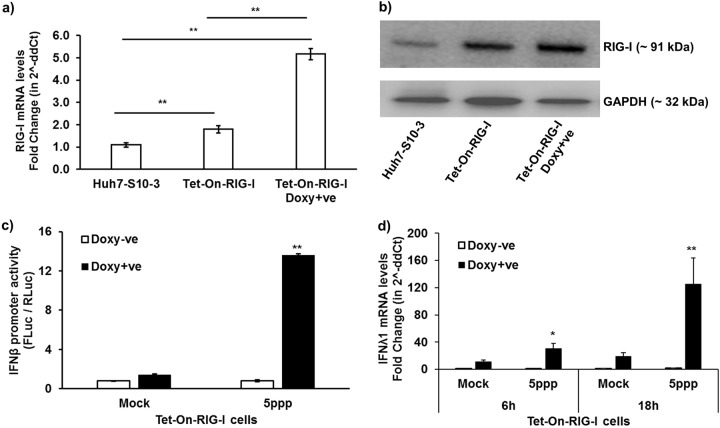 FIG 3