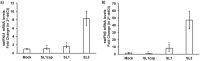 FIG 10
