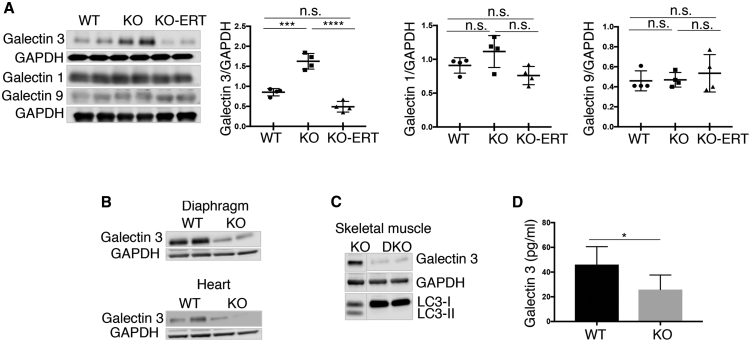 Figure 5