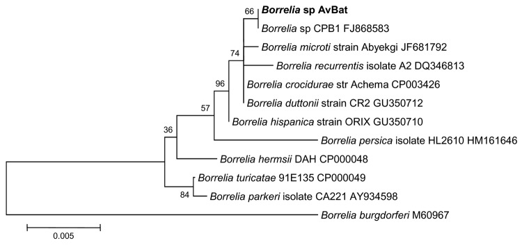 Figure 6