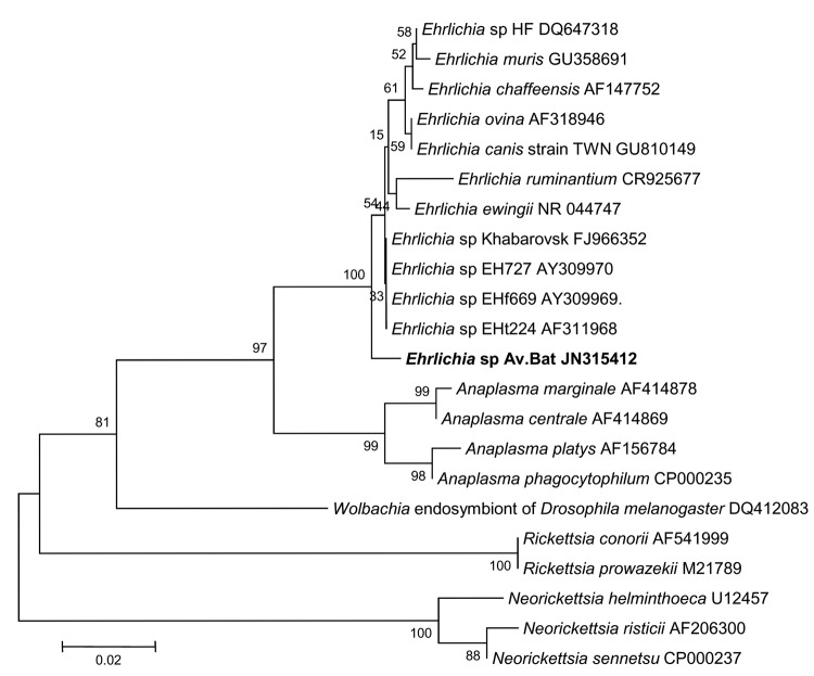 Figure 7