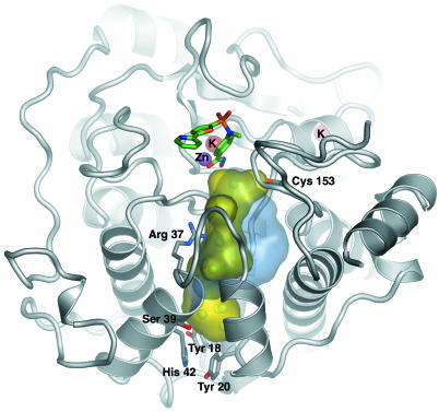 Fig. 5.