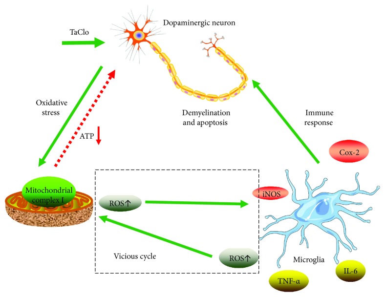 Figure 6