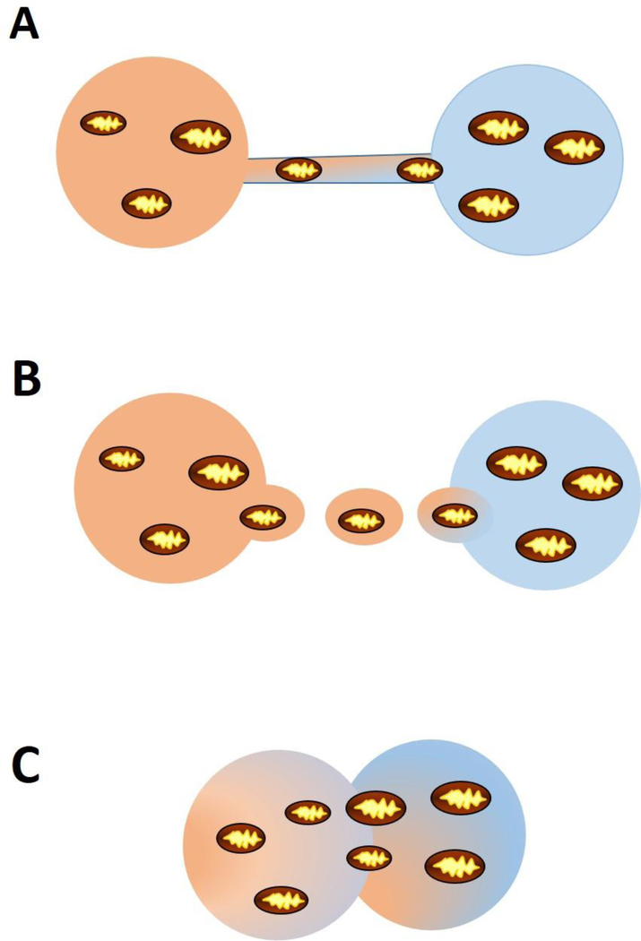 Figure 5: