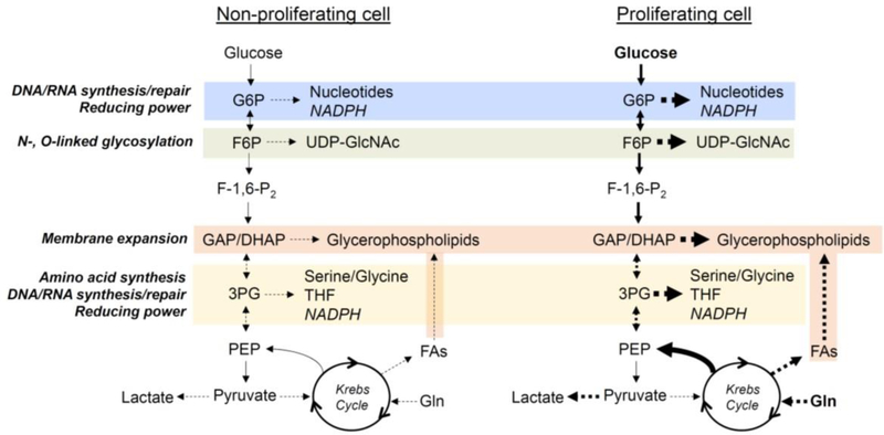 Figure 2: