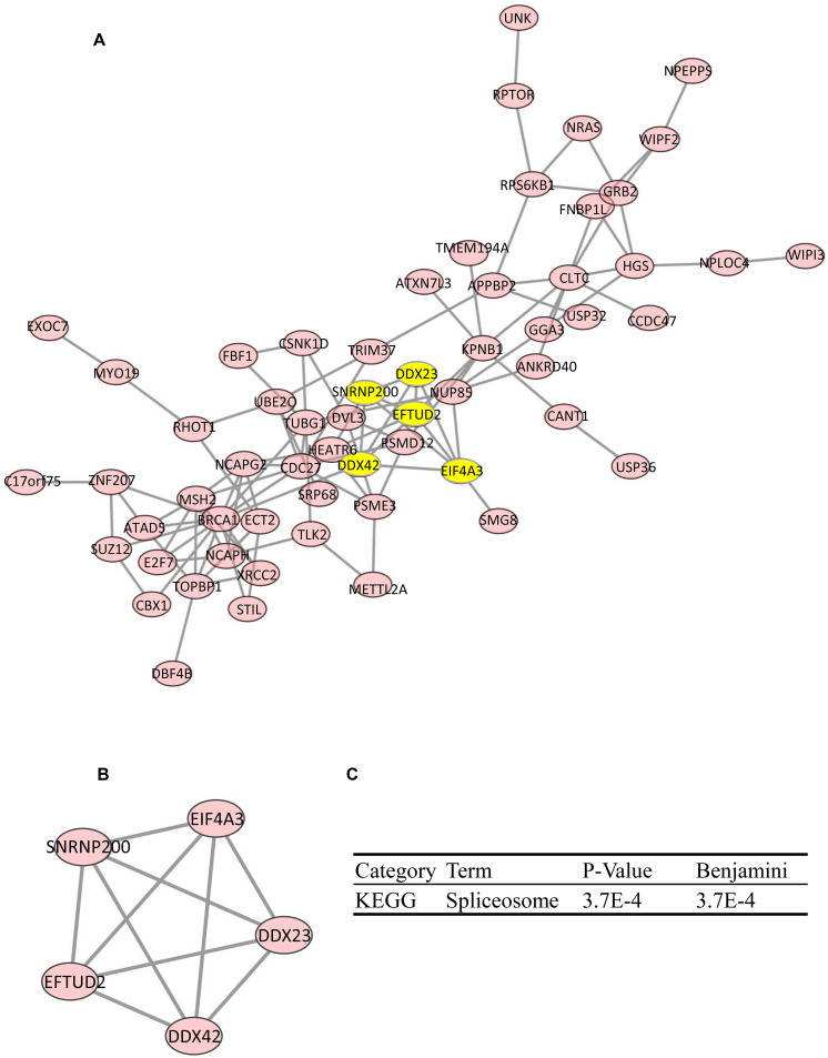 FIGURE 5