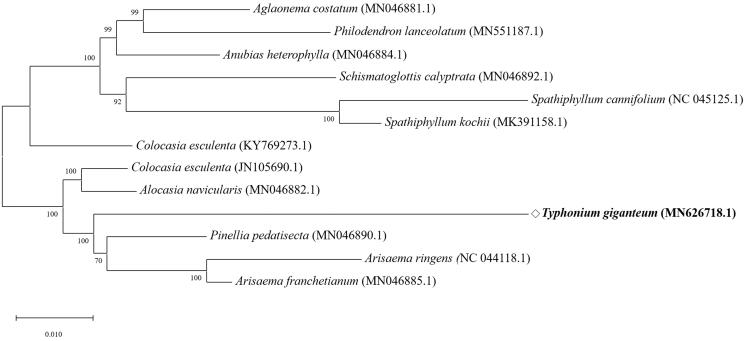 Figure 1.