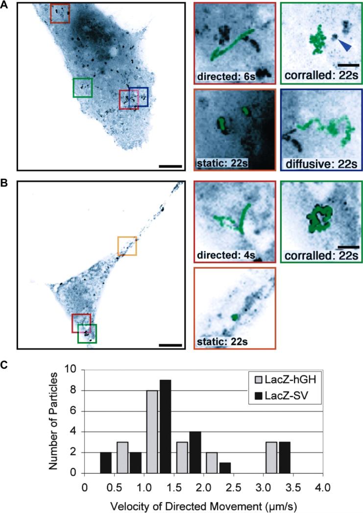 Figure 13