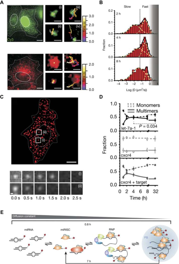 Figure 14