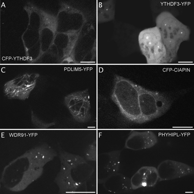 Fig. 4.