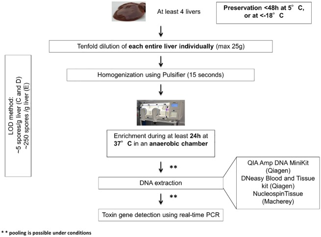 Fig 7