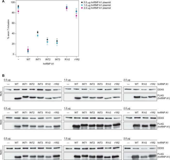 Figure 5—figure supplement 2.