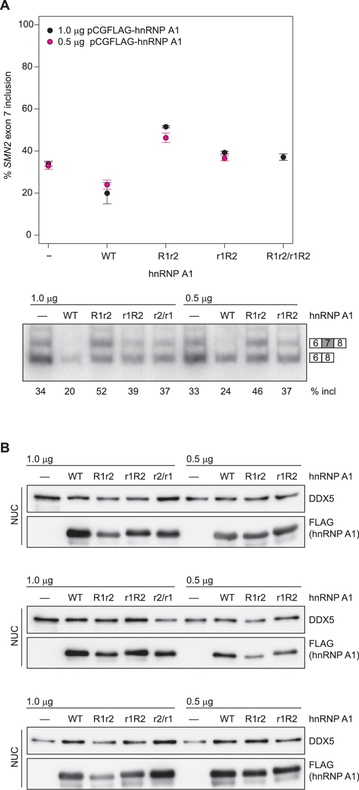 Figure 5—figure supplement 4.