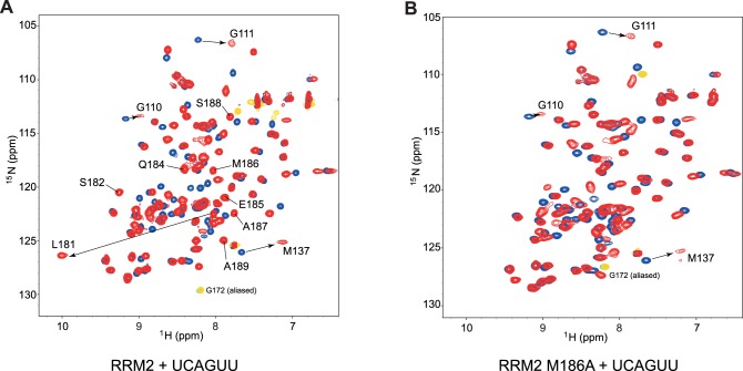 Figure 2—figure supplement 2.