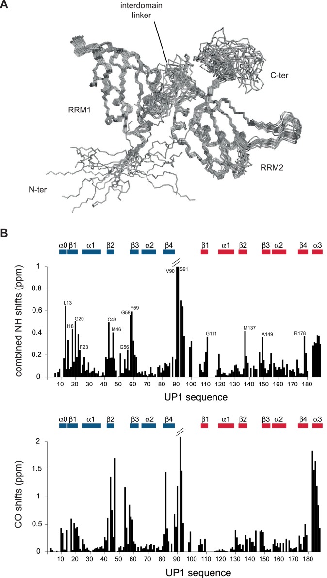 Figure 4—figure supplement 1.