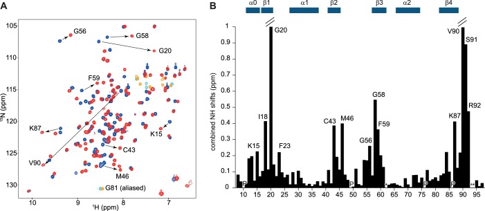 Figure 1—figure supplement 1.