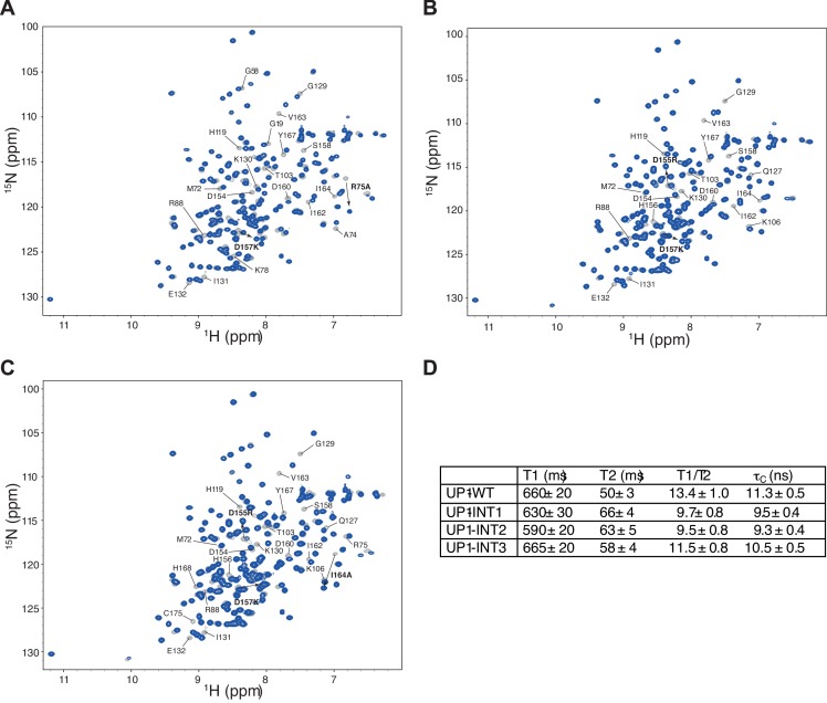 Figure 5—figure supplement 1.