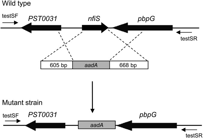 Fig. S6.