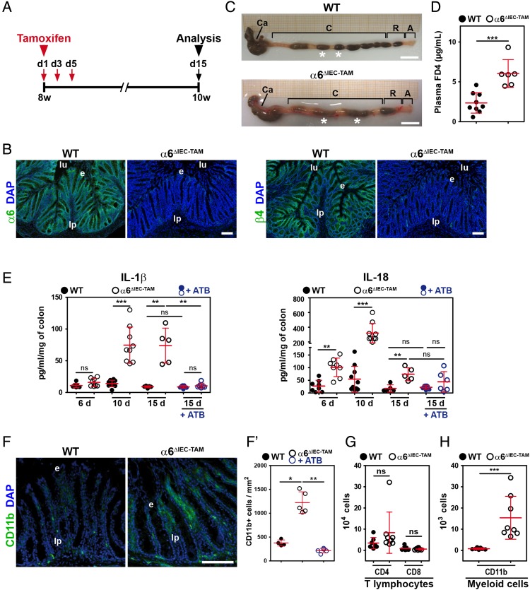 Figure 6