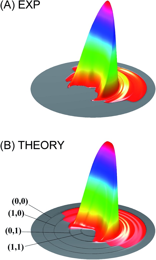 Fig. 1