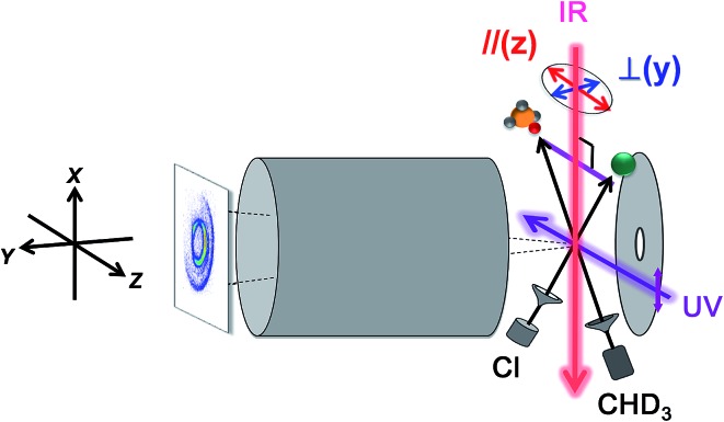 Fig. 7