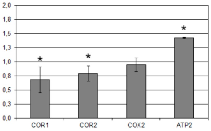 Figure 4