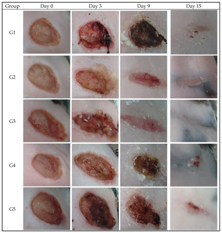 Figure 6