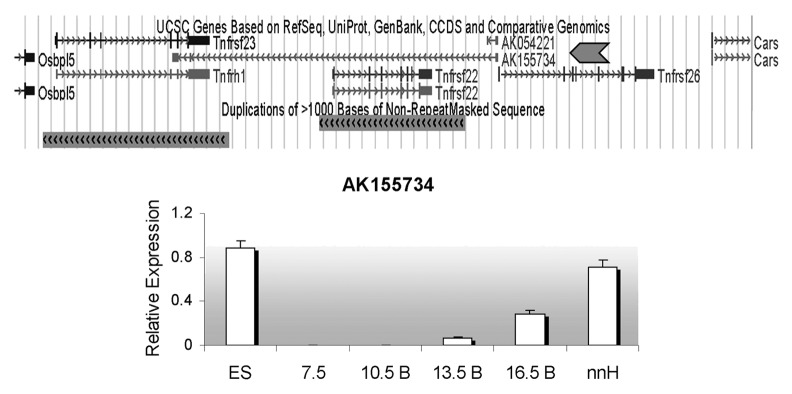 graphic file with name epi-7-626-g4.jpg