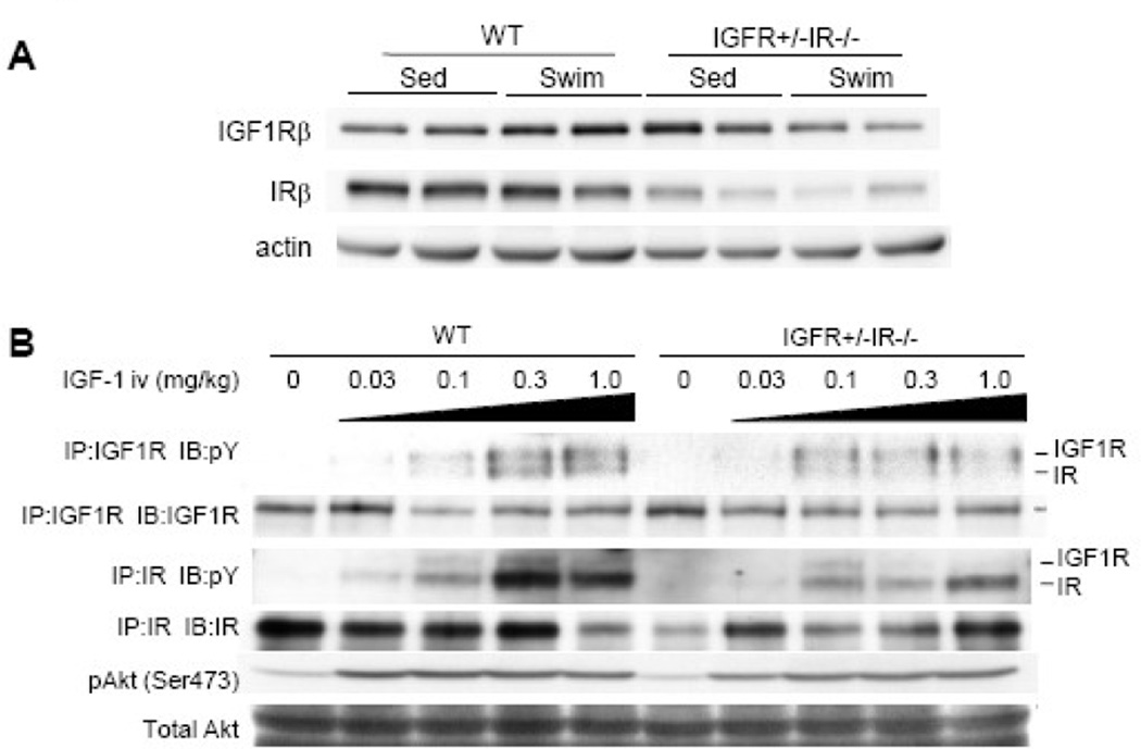 Fig. 9