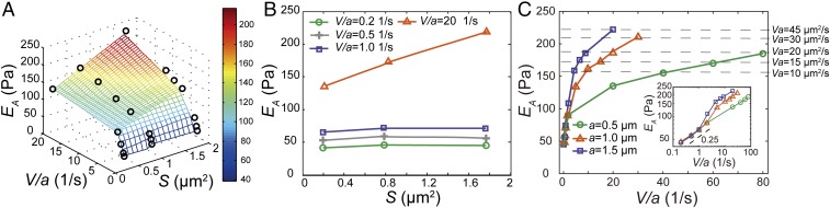 Fig. 4.