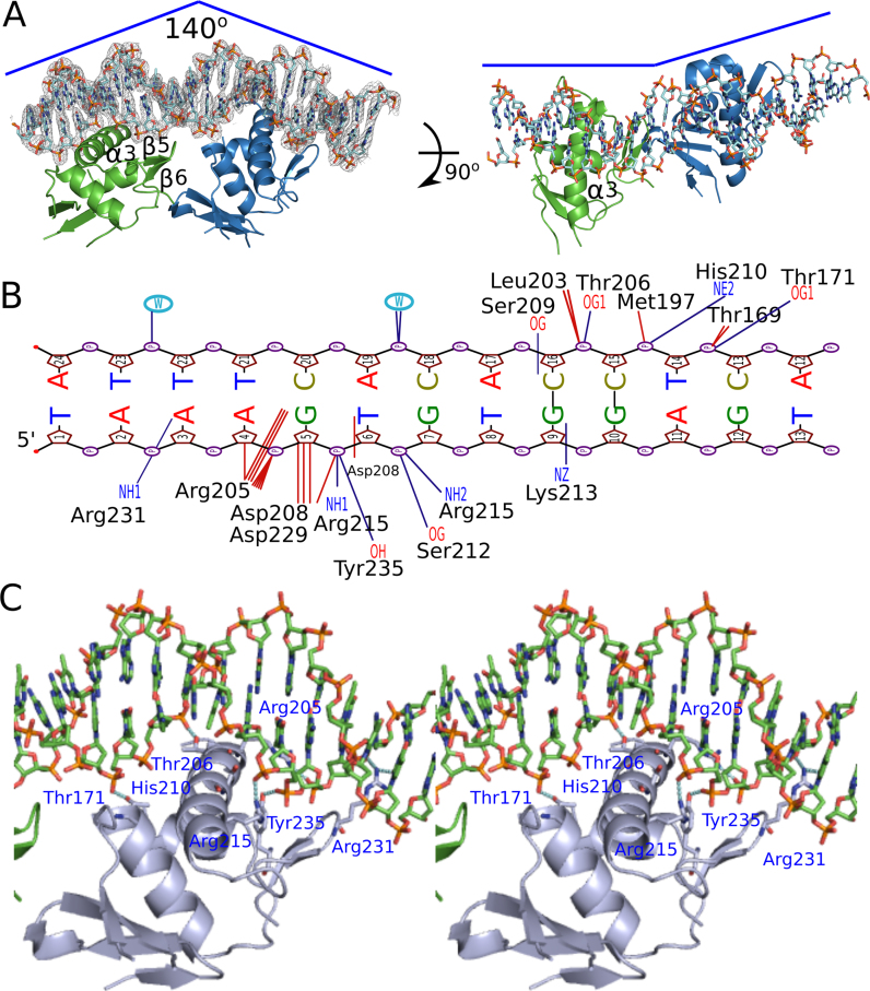 Figure 4.