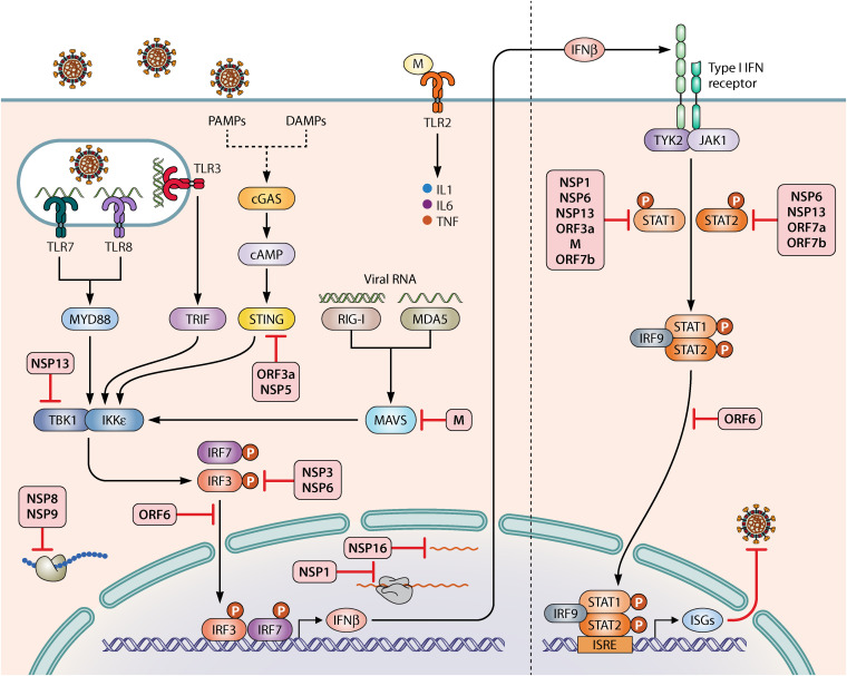 FIG 6