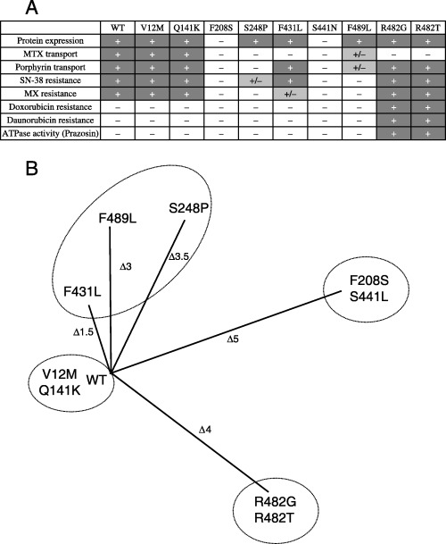 Figure 5