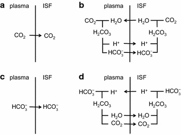 Fig. 22