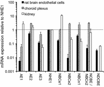 Fig. 13