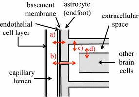 Fig. 19