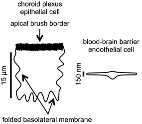 Fig. 11