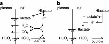 Fig. 24